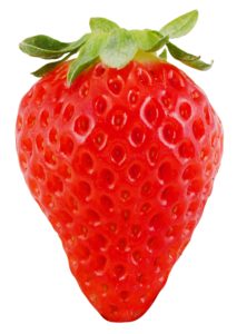 イチゴの種類 ロコファームhanyu